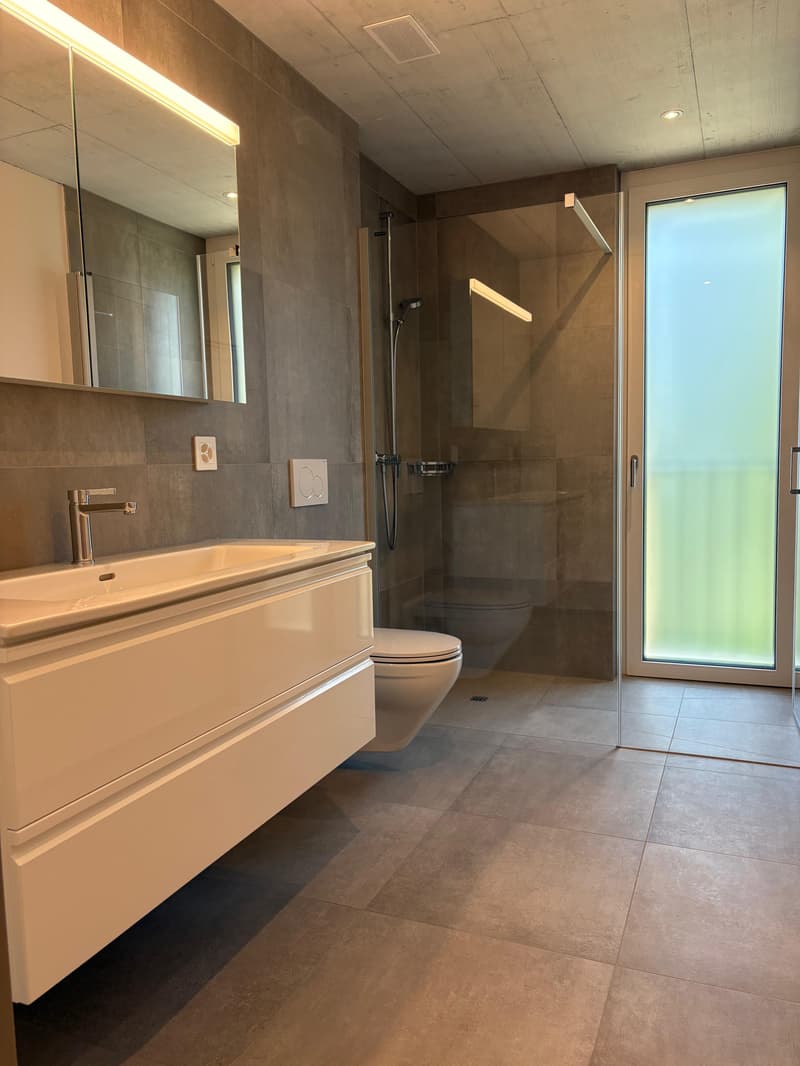 Zentrale 4.5-Zimmerwohnungen im Eigentumsstandard (6)