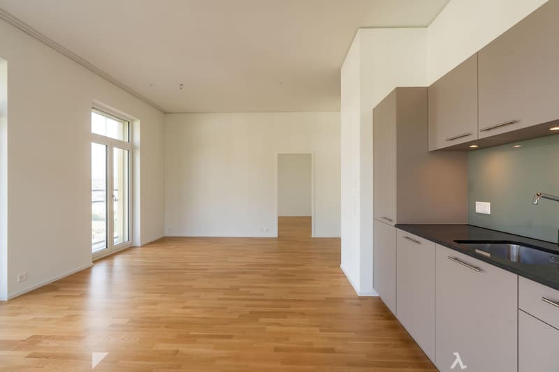 3.5 Zimmerwohnung in Biel (4)