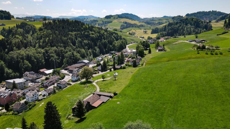 Umgebung