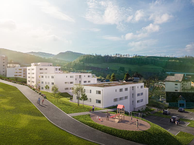 Aussenvisualisierung