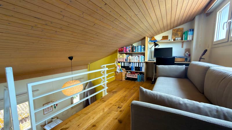 Residential Oasis between Baden and Wettingen (11)