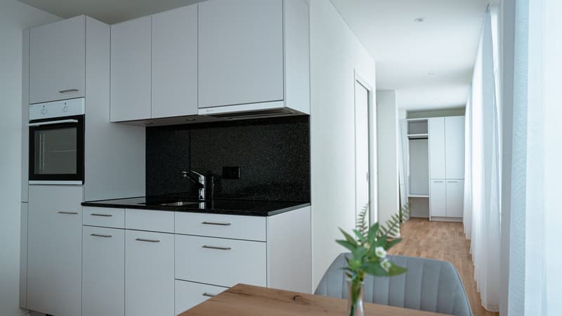 Möblierte 1-Zimmer-Wohnung mit Terrasse in Dübendorf (3)
