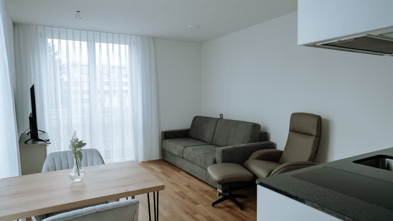 Möblierte 1-Zimmer-Wohnung mit Terrasse in Dübendorf (6)