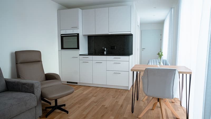 Möblierte 1-Zimmer-Wohnung mit Terrasse in Dübendorf (7)
