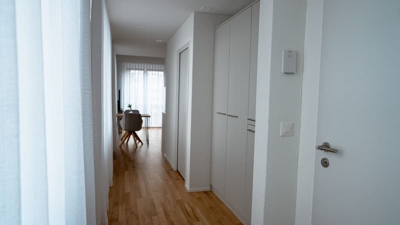 Möblierte 1-Zimmer-Wohnung mit Terrasse in Dübendorf (4)