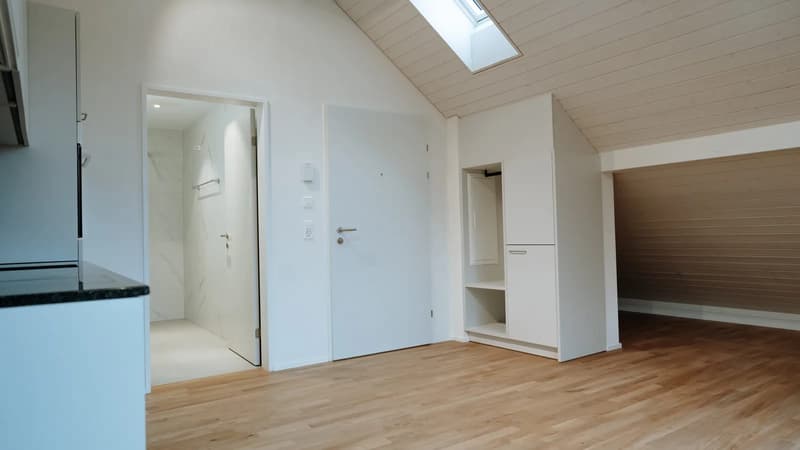 Helles 1.5-Zimmer-Dachstudio in Dübendorf mieten (2)