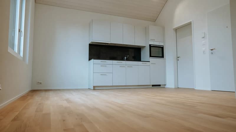 Helles 1.5-Zimmer-Dachstudio in Dübendorf mieten (3)