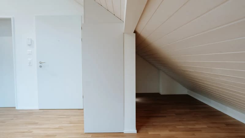 Helles 1.5-Zimmer-Dachstudio in Dübendorf mieten (4)
