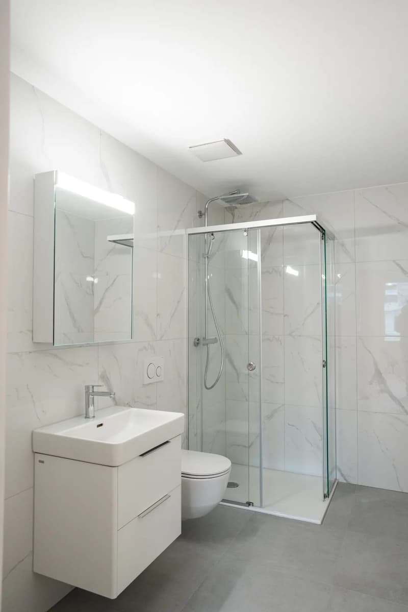 Helles 1.5-Zimmer-Dachstudio in Dübendorf mieten (6)