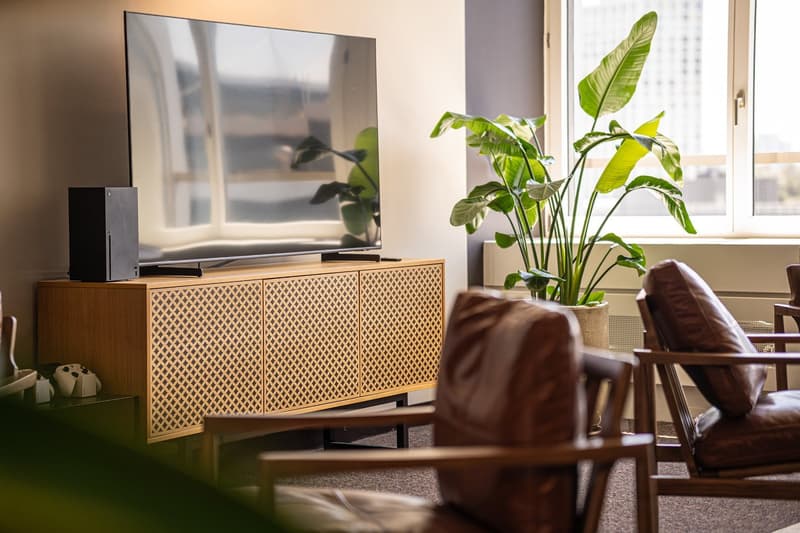 Spacious living room with large windows, a TV stand with a patterned design, a large potted plant, and a leather sofa. The room has a cozy and modern feel.