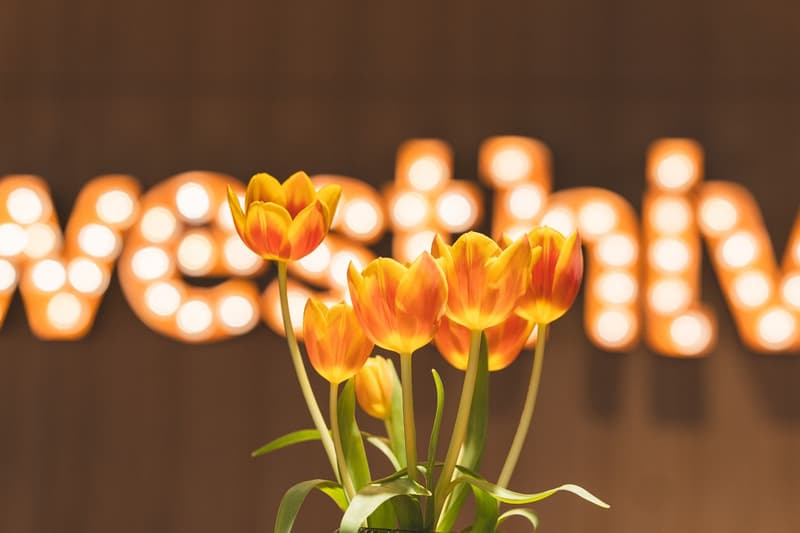 Multiple yellow and orange tulips with leaves in a vase