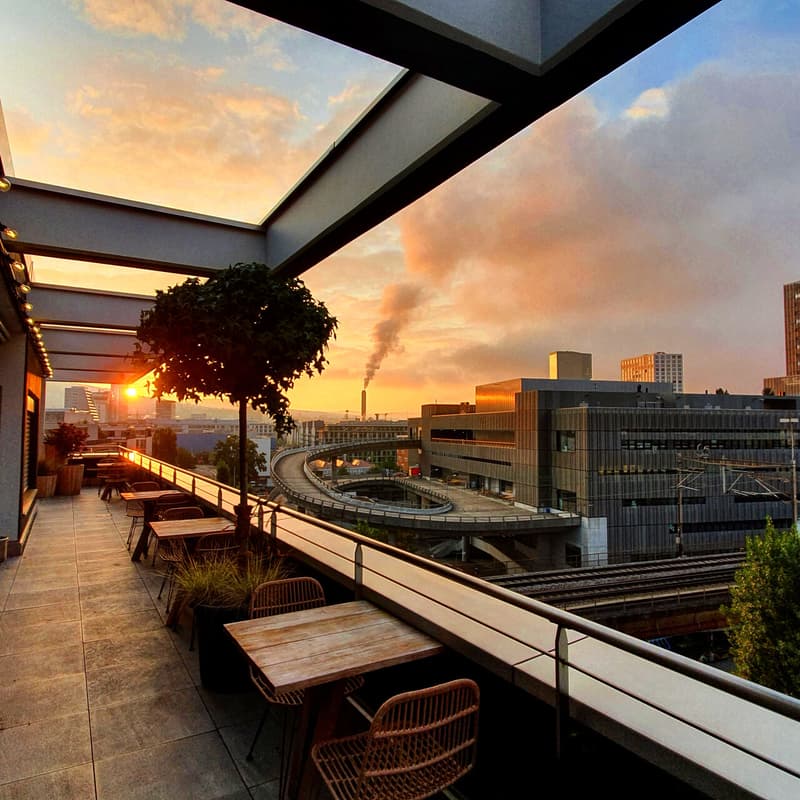 Outdoor setting with tables and chairs, large trees, metal railings, and city skyline view.