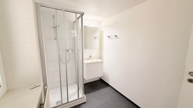 Appartement 2 pièces lumineux à louer à Payerne (5)