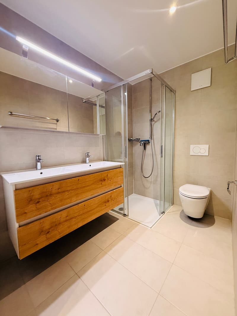 Appartement moderne de 4.5 pièces à La Roche – disponible immédiatement (9)