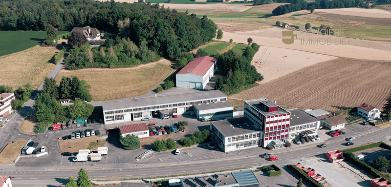 A VENDRE - Bâtiment artisanal, industriel et administratif à Schmitten (4)
