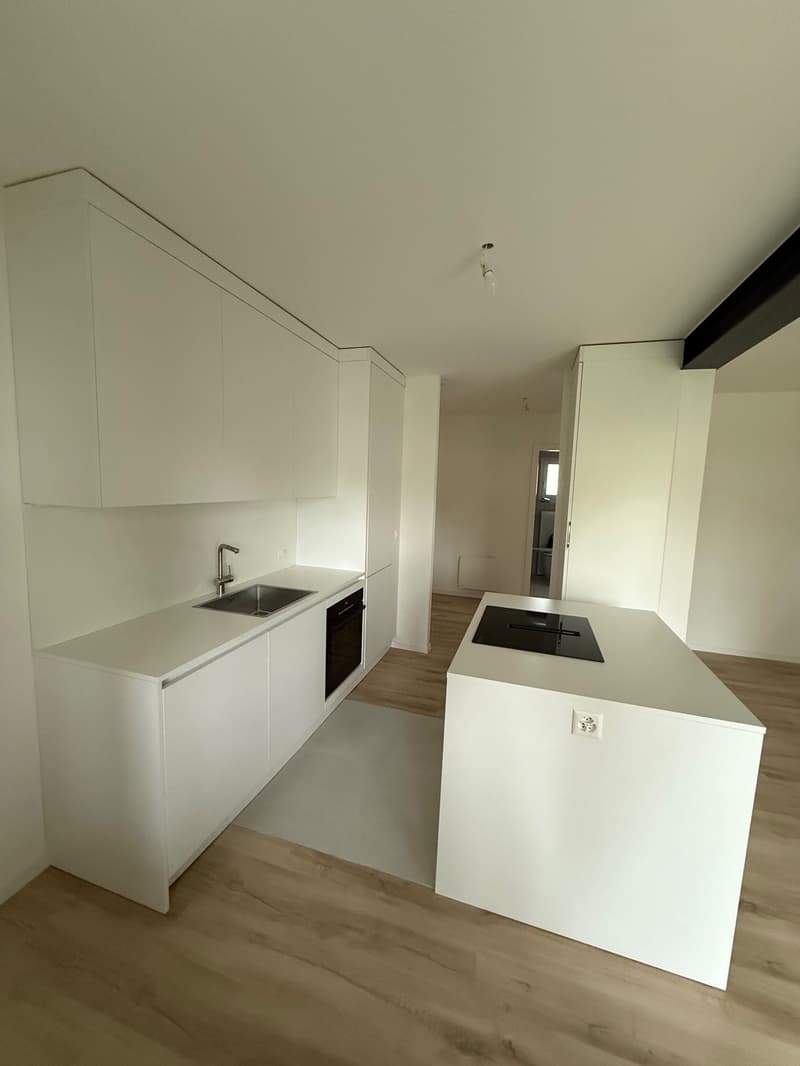 2 charmants appartements de 2.5 pièces à Villarimboud (2)
