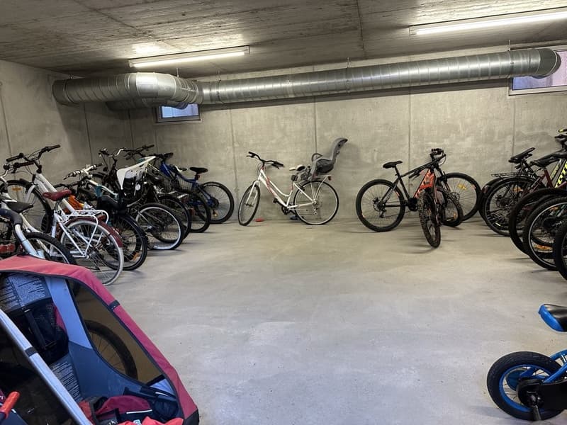 locale_biciclette.jpg
