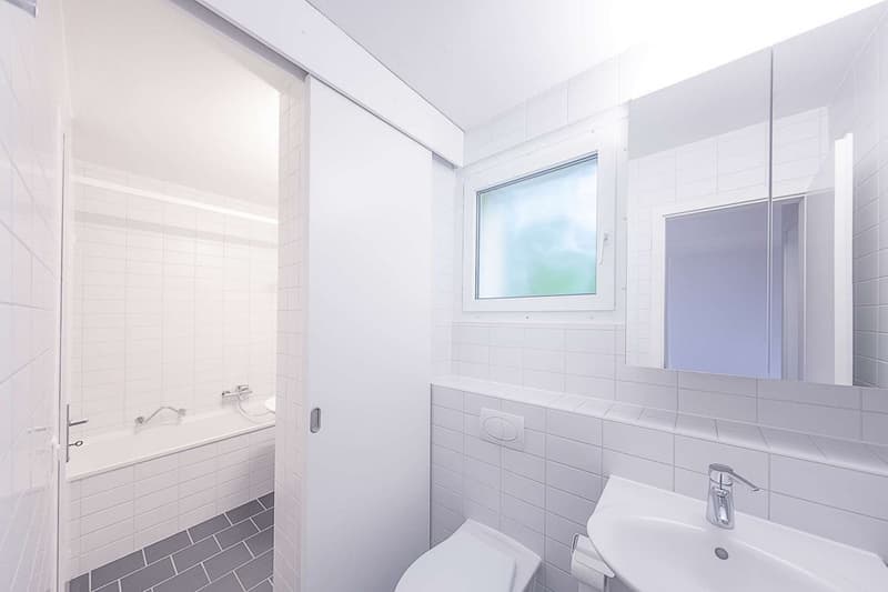 Beautiful apartment on Lake Biel (3)