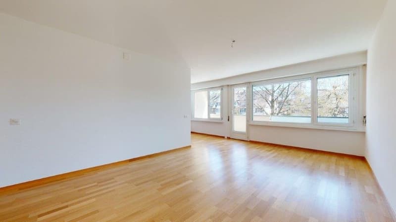 Beautiful apartment on Lake Biel (5)