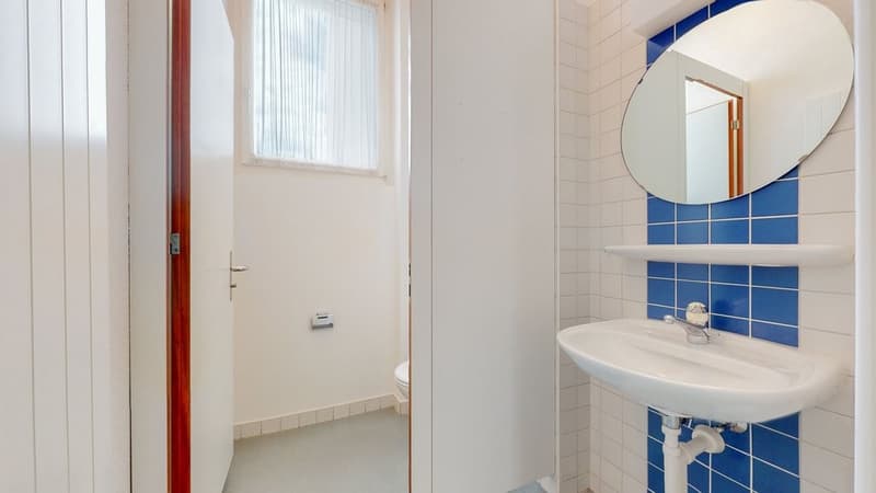 Gewerbeflache-in-Solothurn-WC.jpg
