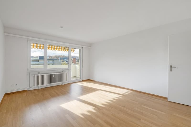 Appartement lumineux avec vue imprenable dans un excellent emplacement à Fraumattquartier (3)