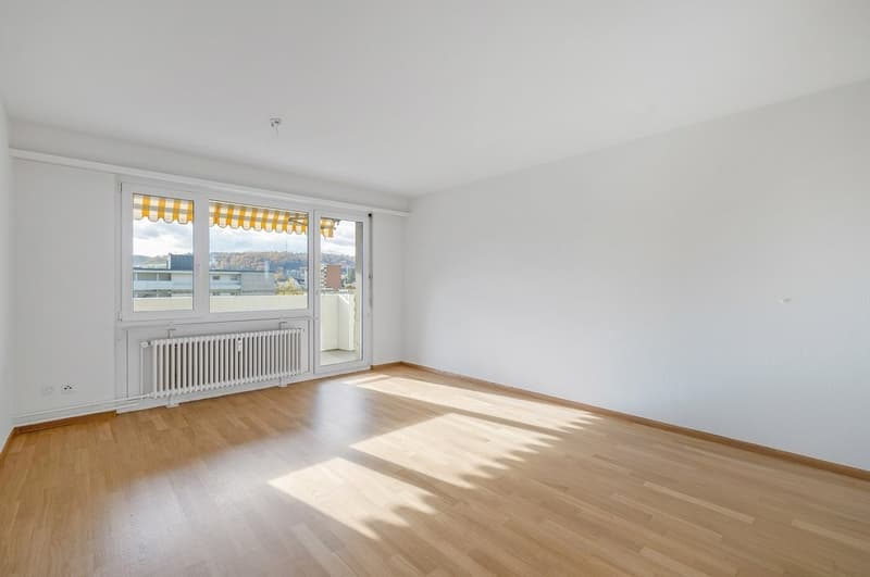 Appartement lumineux avec vue imprenable dans un excellent emplacement à Fraumattquartier (4)