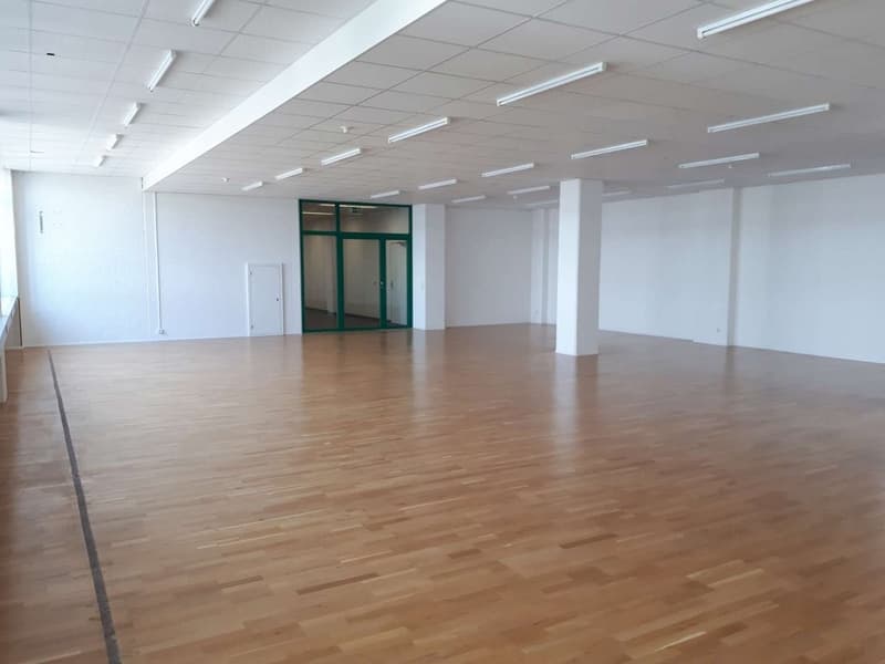 GREENHOUSE - Votre nouveau studio, bureau, stockage, atelier ou studio...? (6)