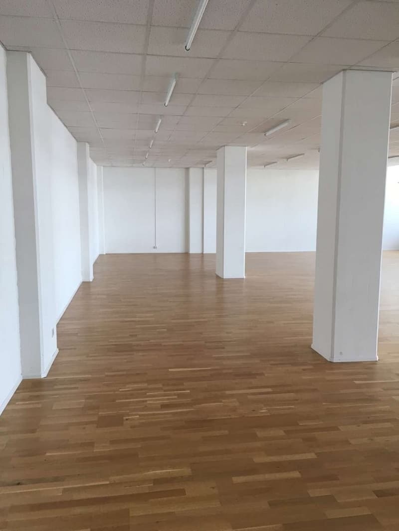 GREENHOUSE - Votre nouveau studio, bureau, stockage, atelier ou studio...? (4)