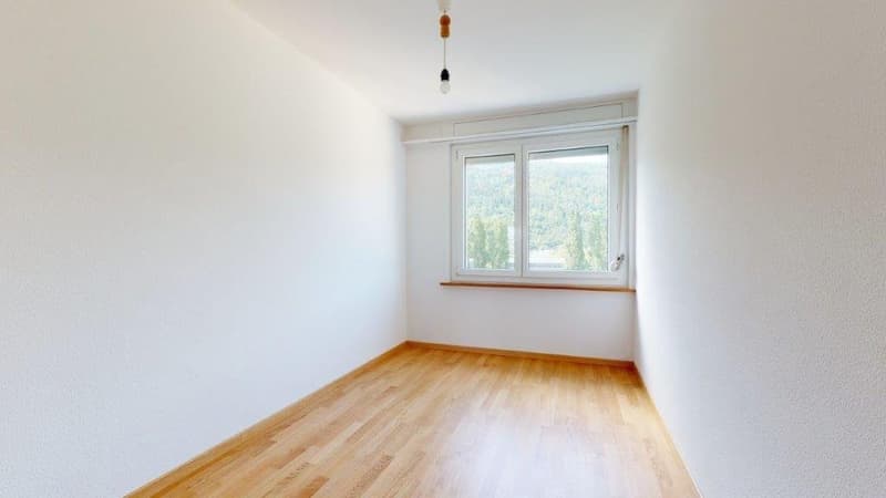 Dream home with a view of Lake Biel (5)