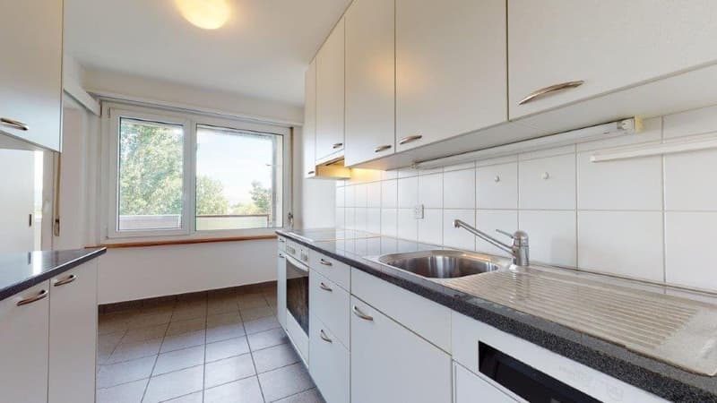 Dream home with a view of Lake Biel (2)