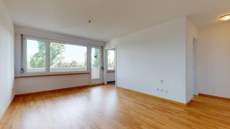 Dream home with a view of Lake Biel (3)