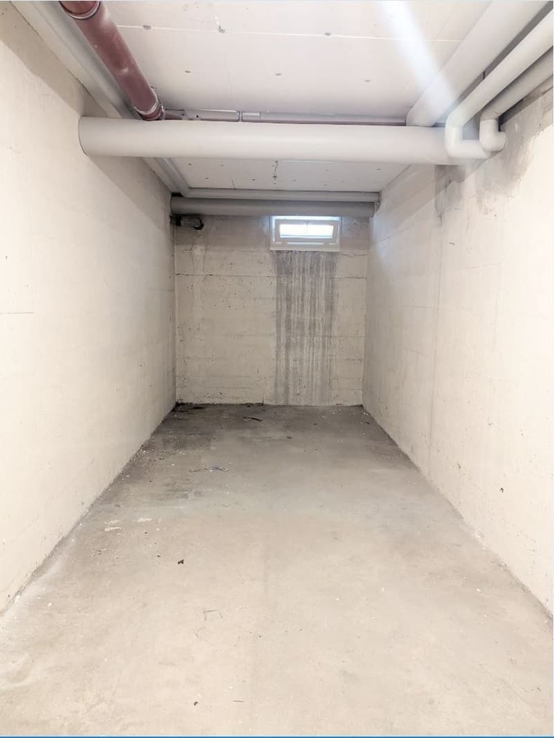 Dépôt de 18m2 à louer au Grand-Lancy (2)