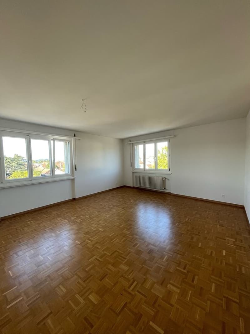 Lumineux 3.5 pièces de 100m2 (5)