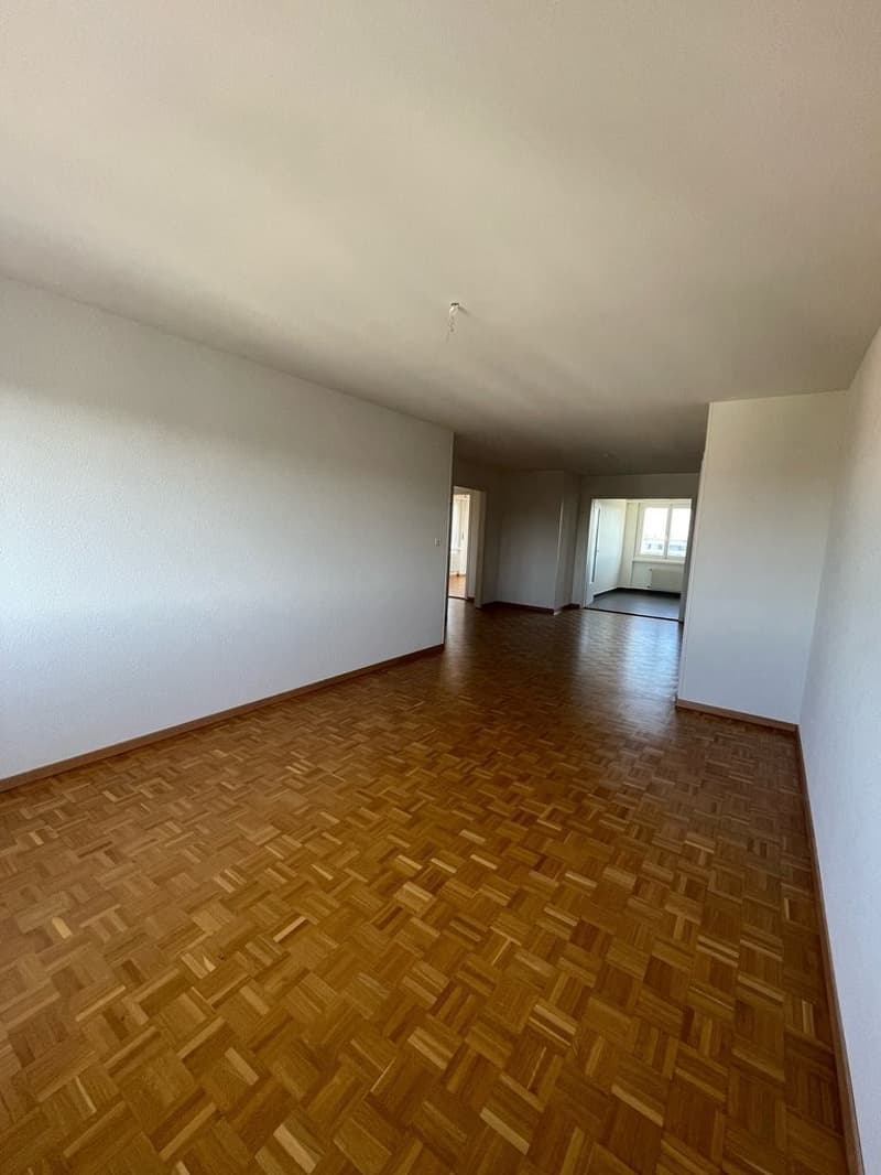 Lumineux 3.5 pièces de 100m2 (3)