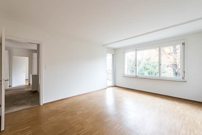 Beautifully renovated apartment in a quiet Gellert (4)