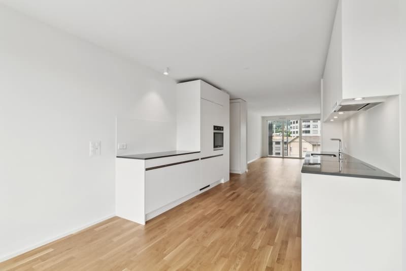 Appartement 4 ½ pièces, 8045 Zurich (5)