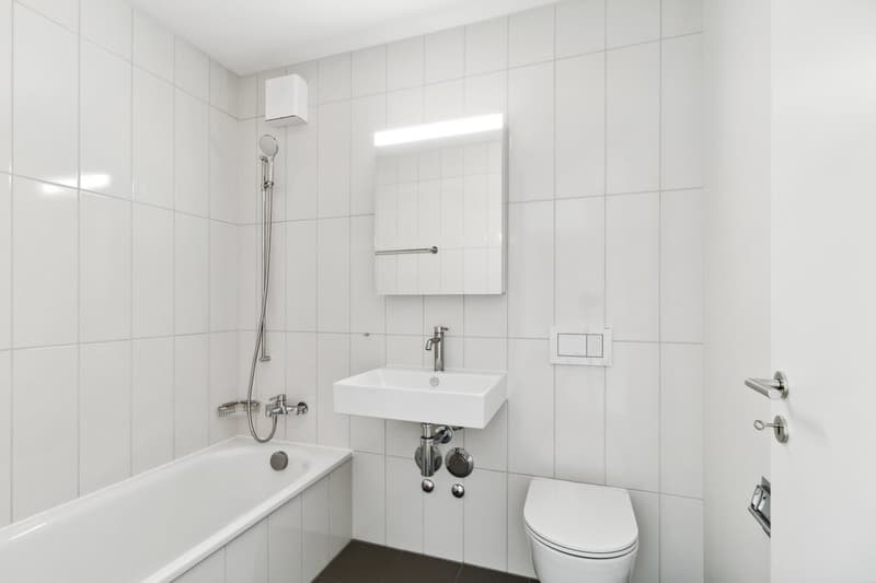 Appartement 4 ½ pièces, 8045 Zurich (10)