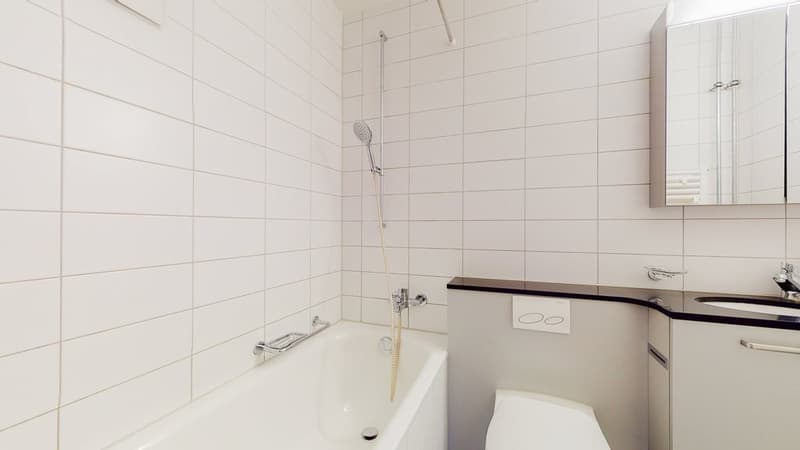 Your new home in Biberist - spacious, bright and cozy (7)