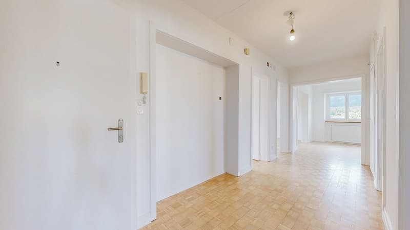 4.5-Zi-Whg-in-Solothurn-Eingang.jpg