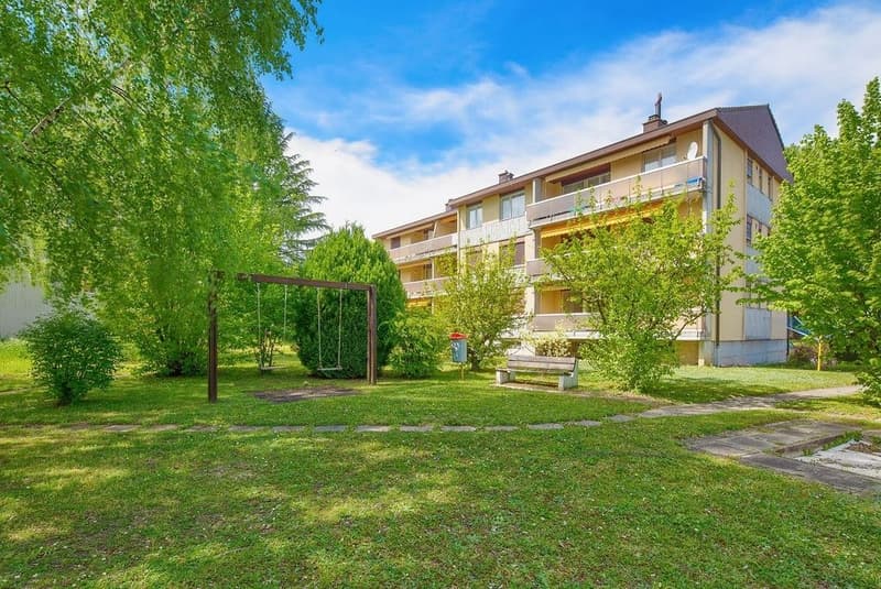 Grand logement offrant beaucoup d'espace et de lumière (1)