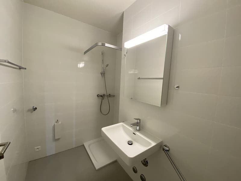Logement moderne au sein de l'écoquartier des Vergers (5)