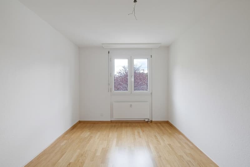 Appartamento meraviglioso in una zona tranquilla (7)