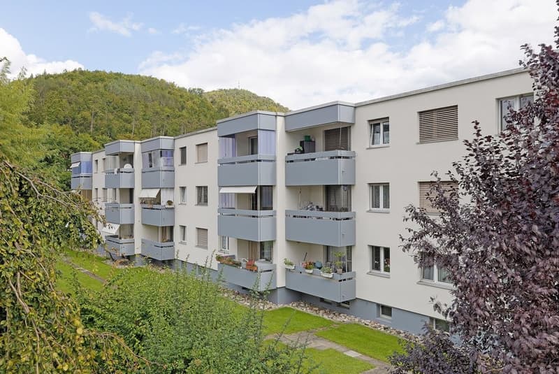 Appartamento meraviglioso in una zona tranquilla (1)