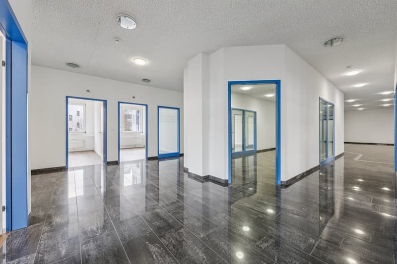 Move in instead of expanding: Office space between Zurich & Basel (8)