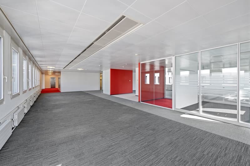 Ihre neue Büro- / Praxisfläche an hervorragender Lage (7)