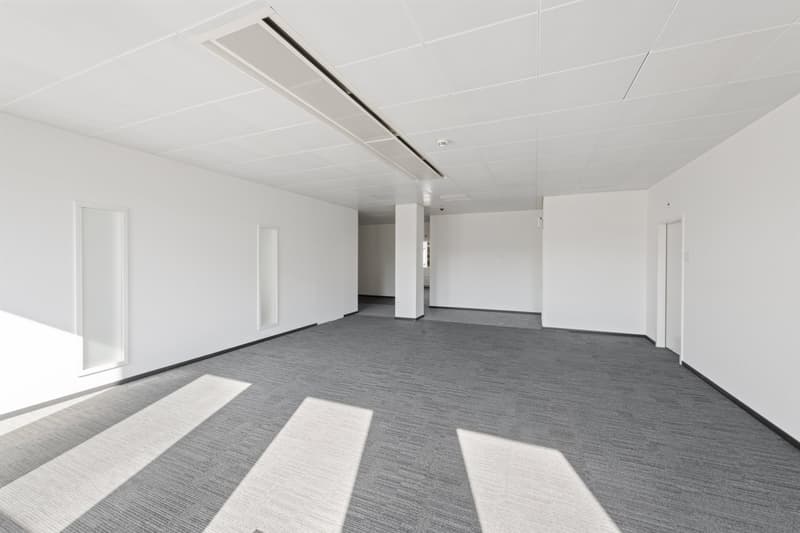 Ihre neue Büro- / Praxisfläche an hervorragender Lage (4)