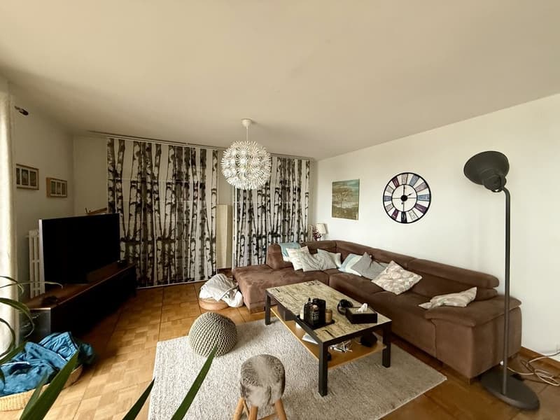 Quartier Chailly - Vue imprenable (9)