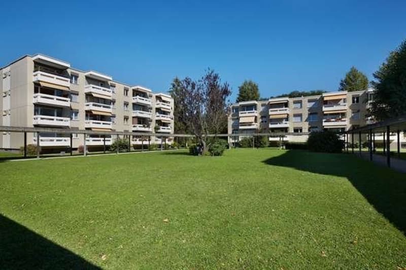 Appartement spacieux et lumineux à Therwil (1)
