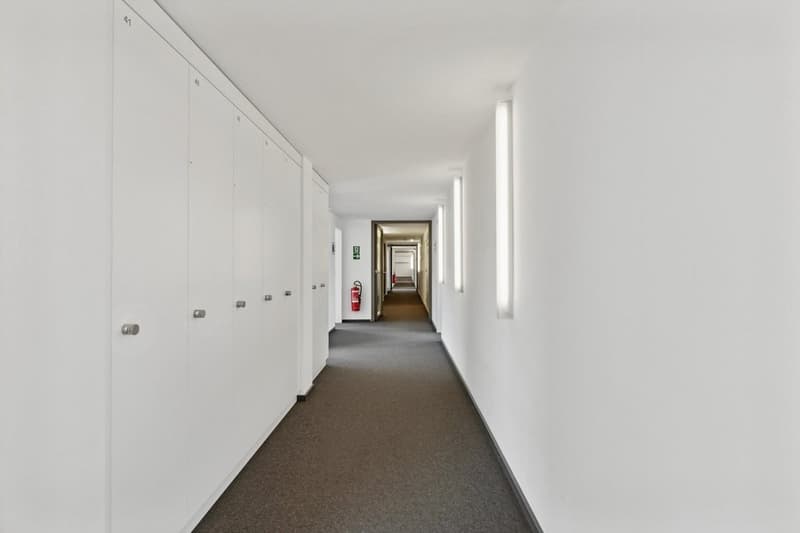 98094.01.0501_Gang_hinten.jpg