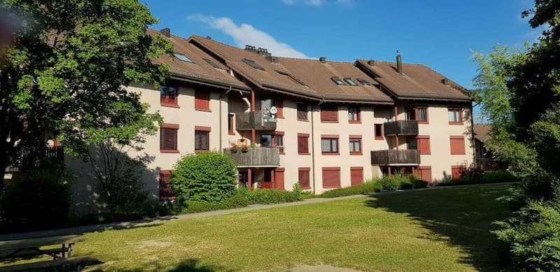 Dies könnte ihr neues Zuhause sein! (1)